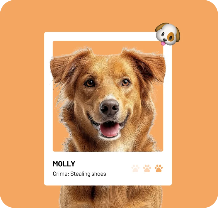 Furry Felons project preview
