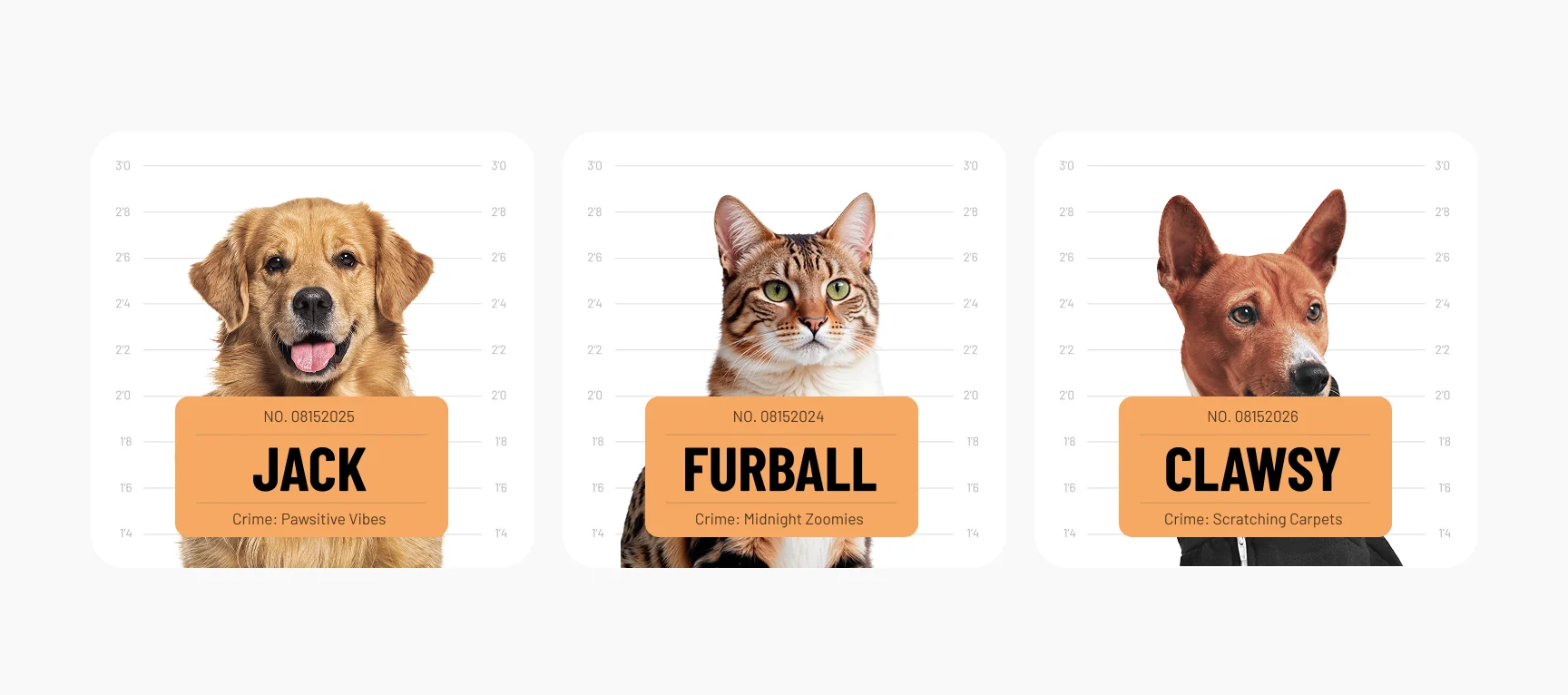 Furry Felons design detail 1