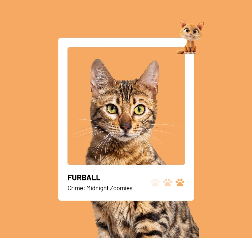 Furry Felons design detail